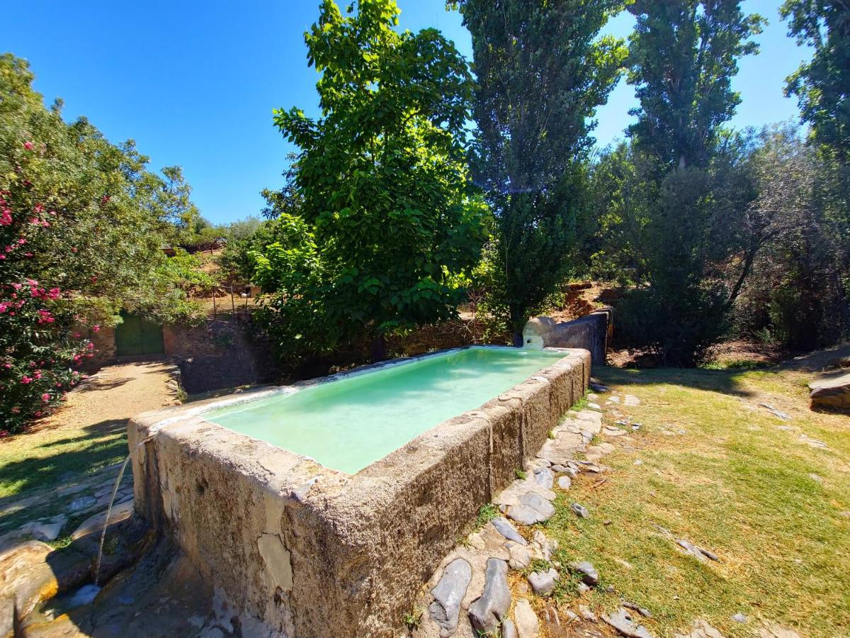 Apartamentos Rurales Tinguaton Aldeanueva de Barbarroya Esterno foto